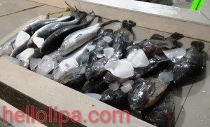 Dampa sa Lipa by Seafood in a Bucket