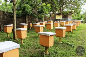 Honey House Honey Bee Farm