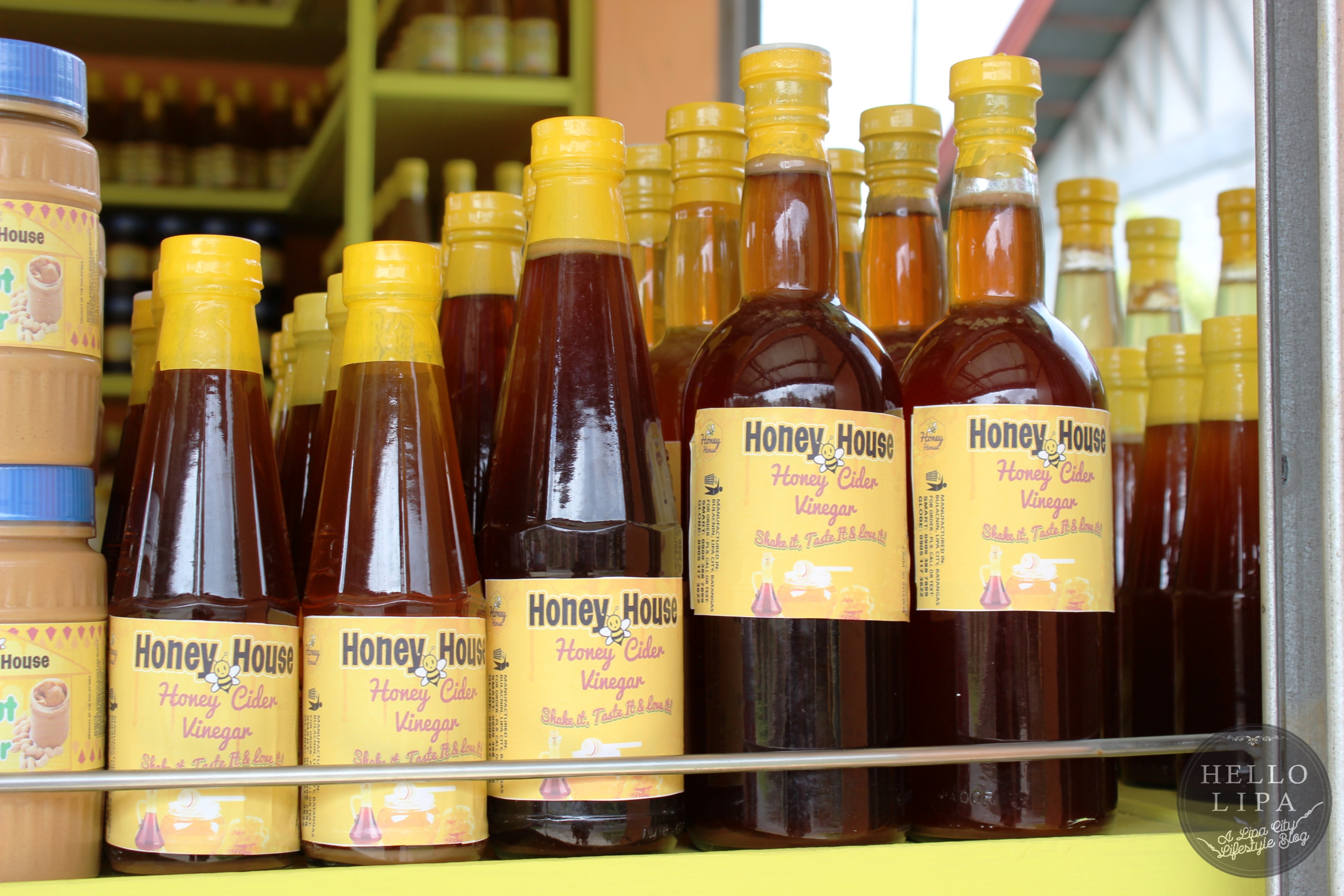 Apple Cider Vinegar, Garlic and Honey Natural Remedy for Many